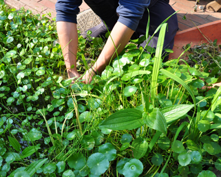 ご注文からの流れ01