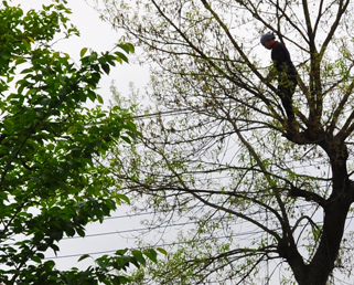 ご注文からの流れ03